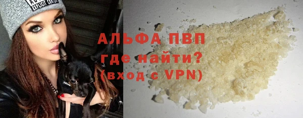 apvp Гусиноозёрск
