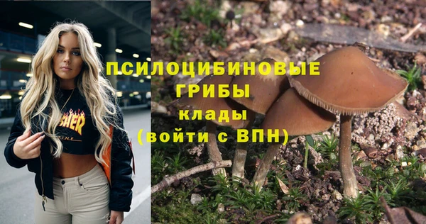 мдма Дмитров