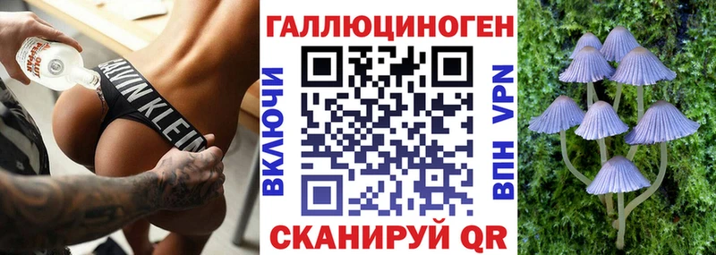 хочу   Южно-Сахалинск  Галлюциногенные грибы Psilocybe 